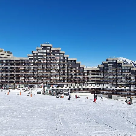 Divisible Accès Pistes, Animaux Admis - Fr-1-181-2583 * La Plagne